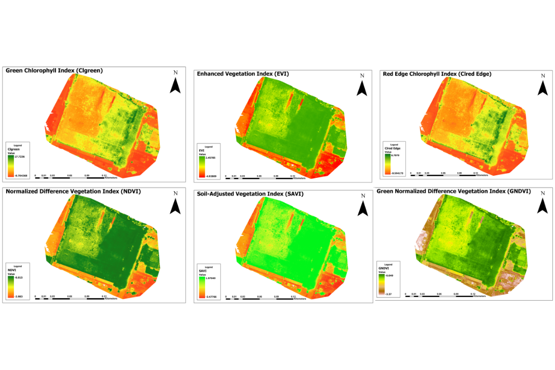 Comparative Vegetation Indices Analysis from Drone Imagery of Local Grounds